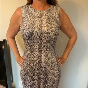 CK snake print dress worn once